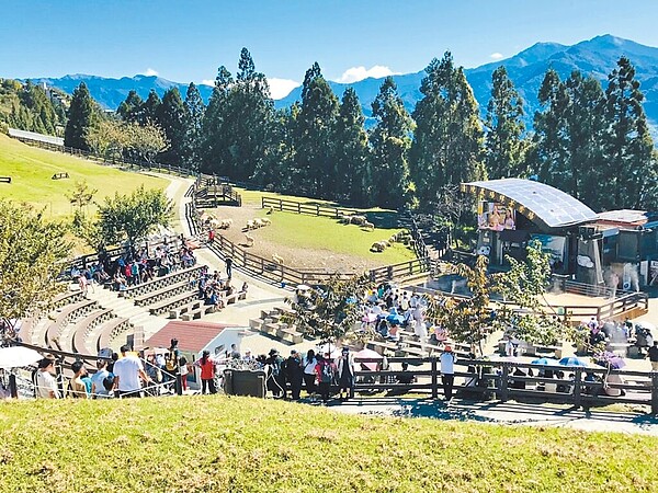 清境農場迎接卡努重創重建後第1個中秋連假,端出訂房8成好成績報喜。圖/清境農場提供