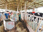 廉價勞力　勞陣認難救缺工