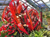 火熱中秋盛宴！士林官邸秋石斛蘭與火鶴花展　即起展出