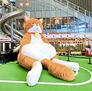 網路爆紅3米高「橘貓重重」　中部首次現身大魯閣新時代