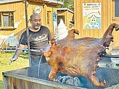 台東烤帶獠牙山豬　遊客讚最狂烤肉