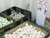 今年蛋荒恐提前？蛋價雖不漲　蛋商估10月中旬出現缺口