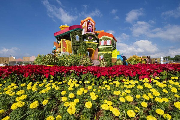 「新社花海暨台中國際花毯節」將於11月11日登場。資料照/台中市政府提供