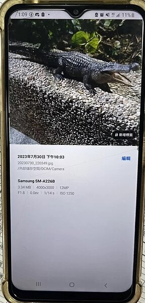 劉男花1840元購買鱷魚模型,在凹子底公園拍照後上傳臉書,宣稱公園有鱷魚出沒,嚇壞不少市民。記者張議晨/翻攝