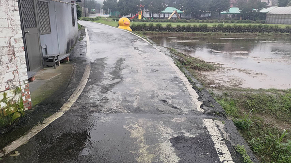 金山六股林口鄰里連通道路老舊破損。圖/新北市政府提供