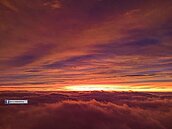 小犬好狂！阿里山「絕美火燒雲海」照曝　1徵兆示警：恐是今年最兇颱風