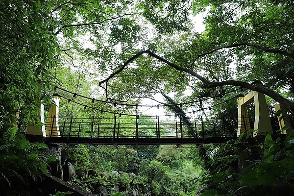 南港桂花吊橋。圖／台北市政府提供