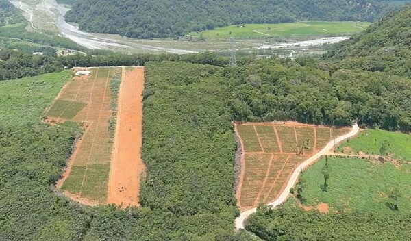 農業部農村水保署提供6月2日空拍長良林道永良段土地照片。圖／監察院提供
