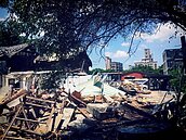 華光強拆未做防護　老樹堪憂