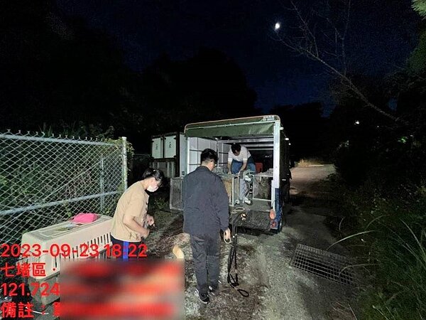 新竹縣動防所被控丟包28隻犬貓到基隆,一度讓基隆市長謝國樑震怒表示要追究,竹縣動保所6日喊冤表示是按照馬姓飼主要求,協助將貓犬送往馬女聲稱的友人家,未料貓犬竟被棄置。(新竹縣府提供/邱立雅竹縣傳真)