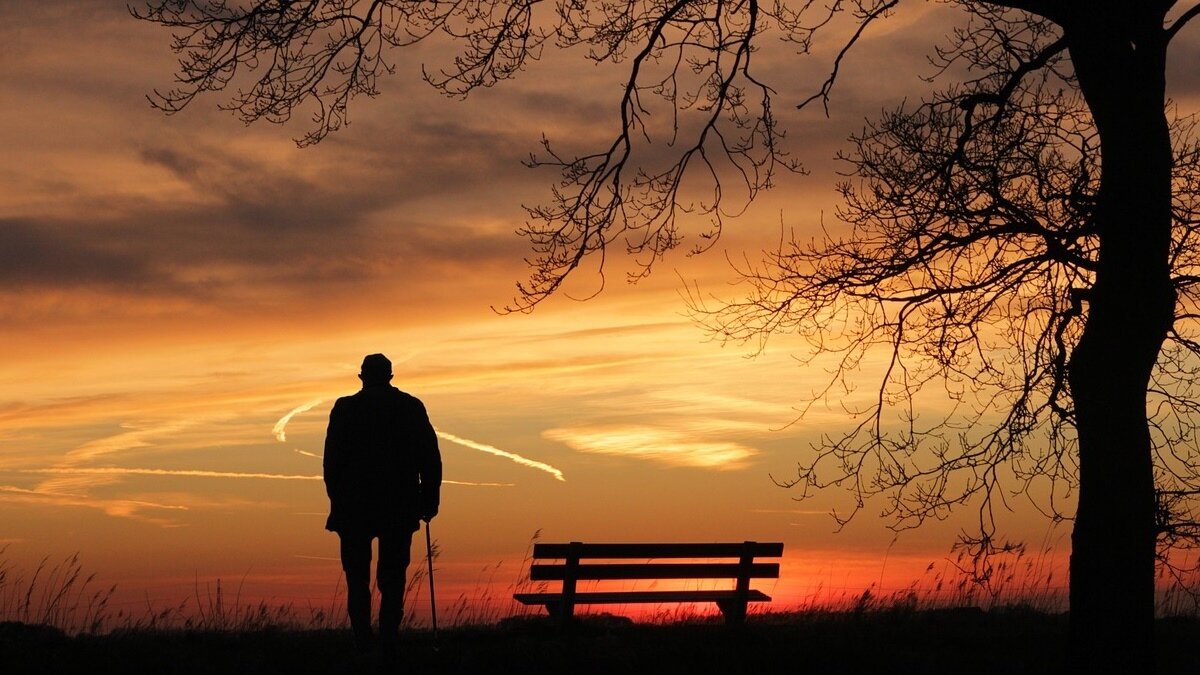 ▼多數網友勸原PO不要想著節省遺產稅,還是將房子登記在自己名下,保障將來的老後生活比較好。(示意圖/取自<a href="https://pixabay.com/photos/sunset-tree-silhouette-dusk-lonely-3156176/"><span style="color:#000000;">pixabay</span></a>)