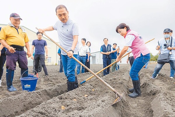 國民黨總統參選人侯友宜（中）7日到台中市后里區和在地農民座談，傾聽農民心聲，並提出多項愛農政見。圖為侯友宜下田體驗農耕。圖／侯友宜競選辦公室提供
