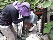 台南登革熱新增204例！病例明顯降　雨後關鍵就在這周