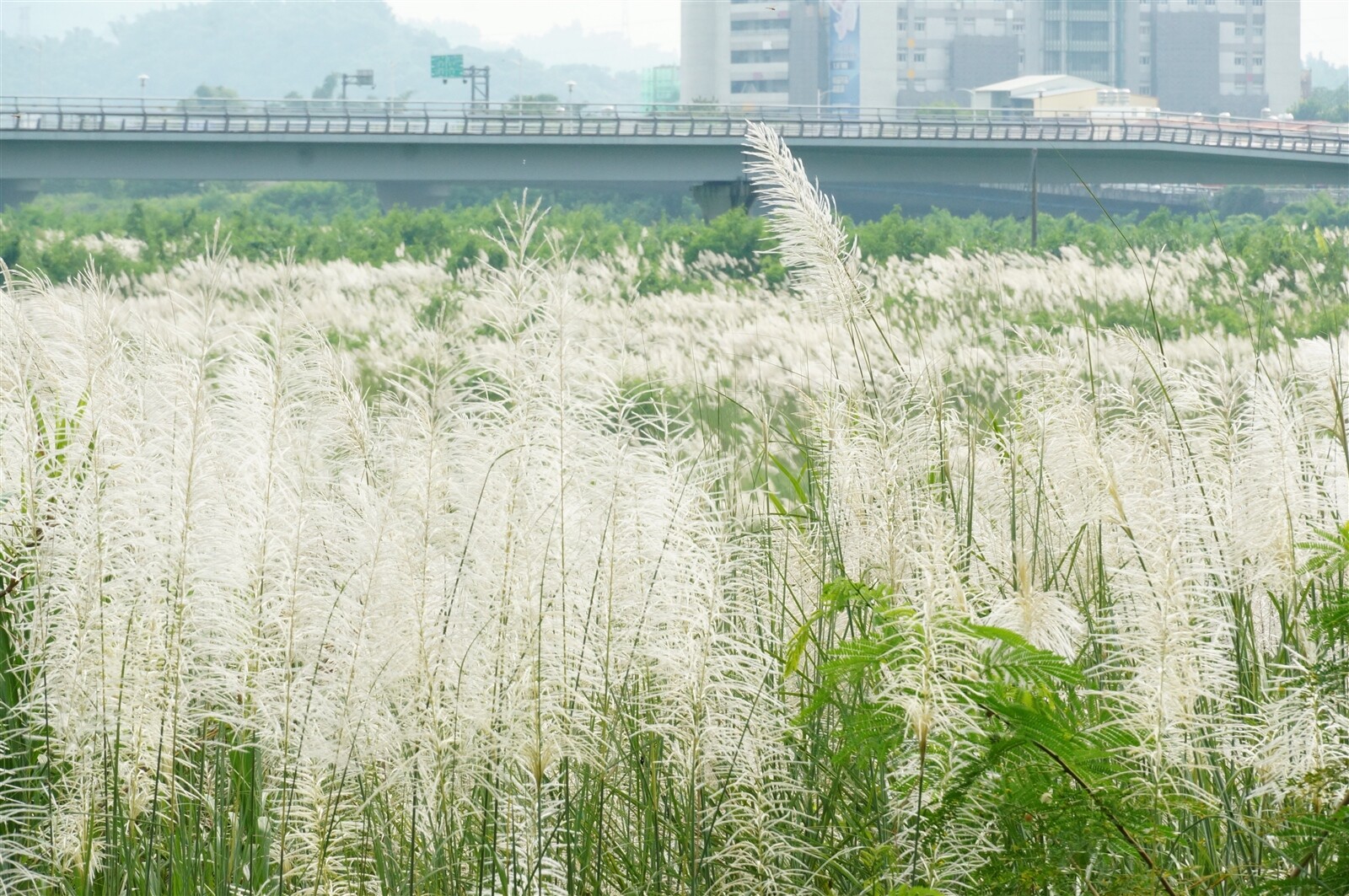 周日有另一波東北季風南下，溫度可能再降至20度左右，時節邁入「一陣秋雨一陣涼」。示意圖，與新聞無關。圖／本報資料照片 