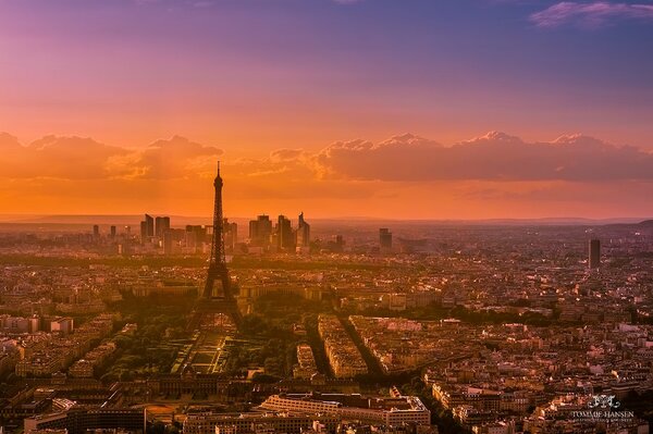 距離2024年巴黎奧運會開幕僅剩9個月，法國上下近期深陷臭蟲危機。圖／維基百科