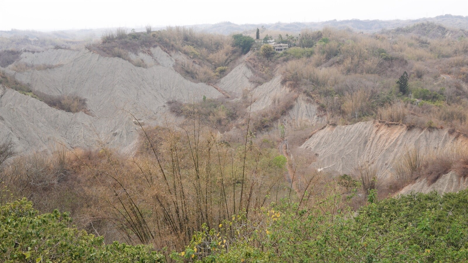 龍崎牛埔惡地地質公園與自然保留區。記者劉學聖／攝影 