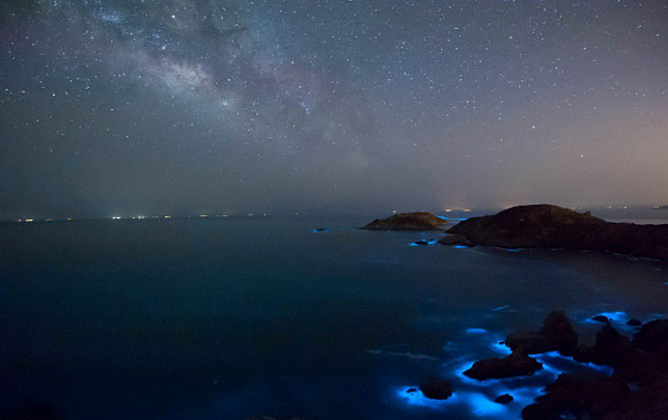 藍眼淚就在你的窗前。這可不是夢。圖/Booking.com提供