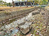 魚蝦擱淺腐爛　鳳山曹公圳溝渠散發惡臭