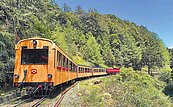 阿里山福森號檜木車廂　6月驗收報營運