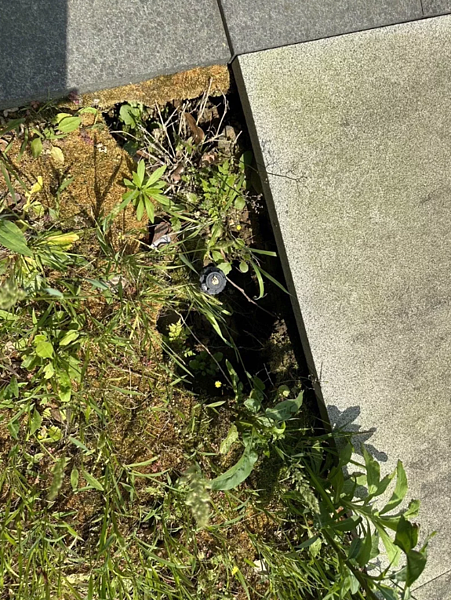 竹北市一處社區大樓的前庭佈滿許多坑洞，住戶們擔心坑洞擴大影響大樓結構。圖／民眾提供