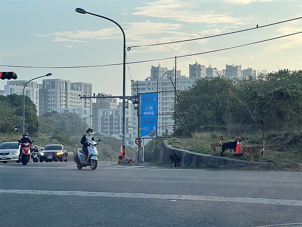 台南市永康二王公墓位於永康區中心地帶，市議員朱正軒要求加速遷葬，促進地方發展。圖／朱正軒提供