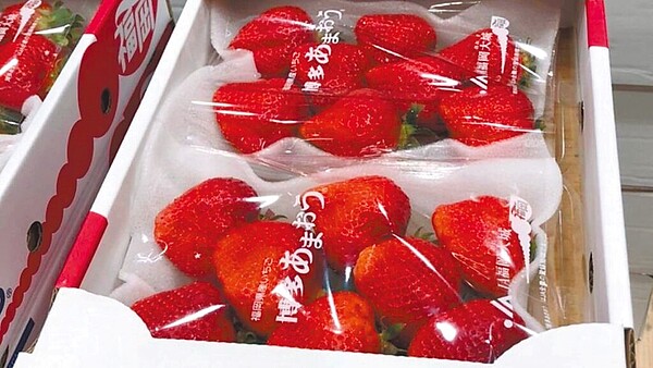 食藥署正評估開放「氟尼胺」和「克凡派」兩款農藥可用於草莓,讓農藥超標的日本草莓就地合法,遭國內草莓農抗議。圖為台北內湖好市多「空運日本草莓」被驗出農藥氟尼胺超標。(北市衛生局提供)