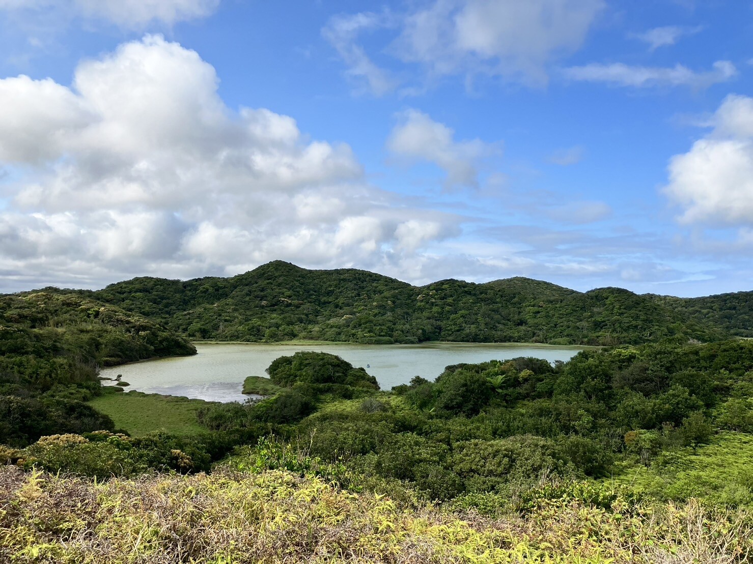 「南仁湖」原先僅是一個小水潭，自聚落成立人們在此開墾水田，於出水口填土築堤而形成如今面積廣大的水域，大量的水生及濕生植物生長其中，提供雁鴨科或鷺科鳥類棲息場所及食物來源。記者張已亷／攝影 