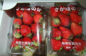 擬開放日本草莓農藥殘留　挨批雙標