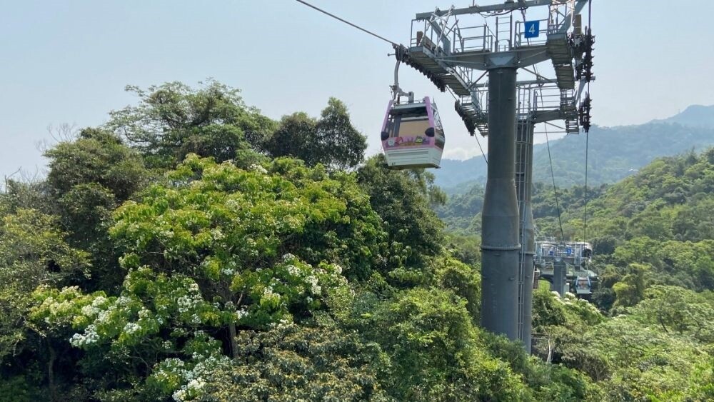 空纜車推出「揪媽媽搭貓纜」活動，5月14日親子同行，購買一日票，貓纜再送一張「免費一日票」。圖／台北市政府提供