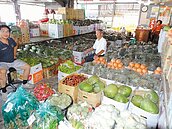 颱風路線搖擺　怕水葉菜應聲漲