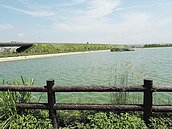 黃色小鴨游後湖埤　怕交通打結