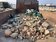 南寮風箏賽場挖出廢棄物　新竹市府：非議員所說「查無不法」