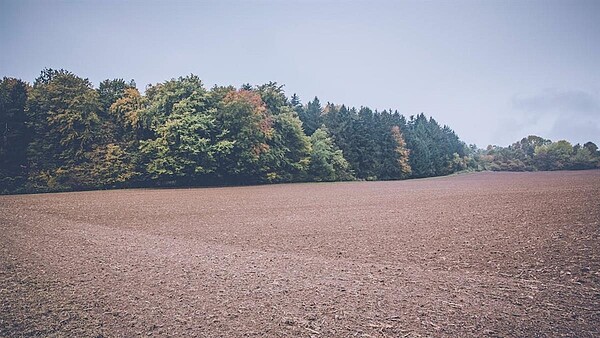 (封面示意圖 / pexels)