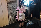 集合！台北首家女僕酒吧　推地偶企劃