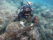 石梯坪海底清44公斤垃圾