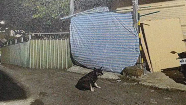 桃園一名彭姓男子不滿黎姓遊民搭棚佔據住家前方空間又出言挑釁,持刀追砍對方14刀,被桃園地院依殺人未遂判刑5年4月。記者陳俊智/翻攝