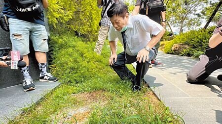 
中山醫學大學法醫系主任高大成，21日到「5億高中生」命案陳屍處實地勘查，他認為草皮枯萎很可疑。（馮惠宜攝）
