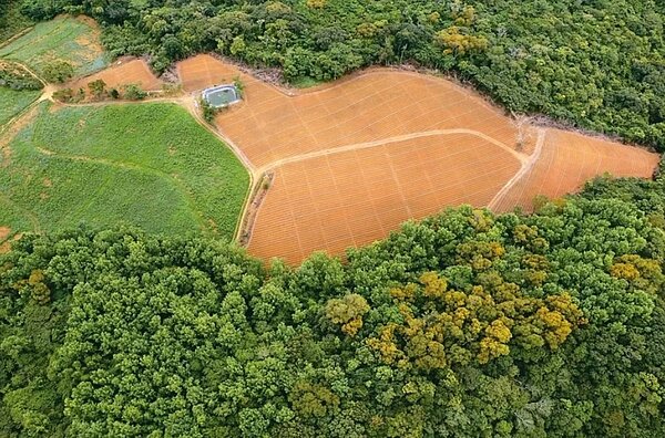台東縣政府日前空拍發現,業者租地後違法超限開挖種薑,違法事證明確,將依法開罰。圖/台東縣政府提供