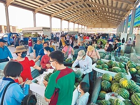 
雲林縣二崙鄉自強果菜市場俗稱「瓜市」，每年5月充滿各種西瓜與各地來的饕客，民眾可開車進入挑選載走。（周麗蘭攝）
