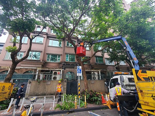 樹木防汛修剪。圖/園藝工程隊提供