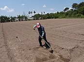 熱翻天！颱風未至這7縣市發布高溫黃色警戒　醫籲：小心熱急症