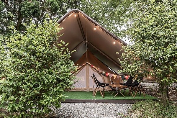 台北_藍鵲菲菲1