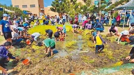 200名親子在尖山發電廠重溫早期採荸薺的農事田園課。(許逸民攝)