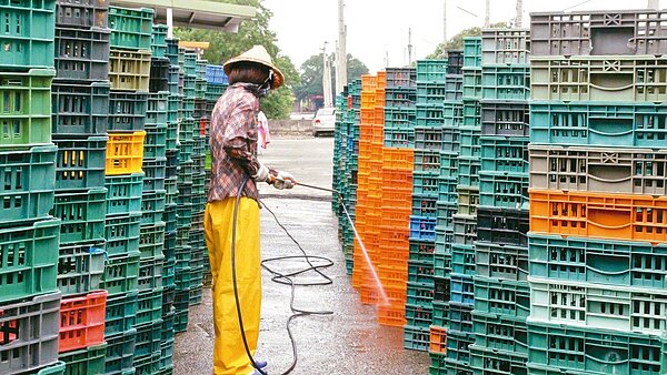 國內缺蛋危機,主因是受禽流感侵襲,養雞協會要求雞農要把蛋箱洗乾淨,預計一個月後稽查開罰。聯合報系資料照