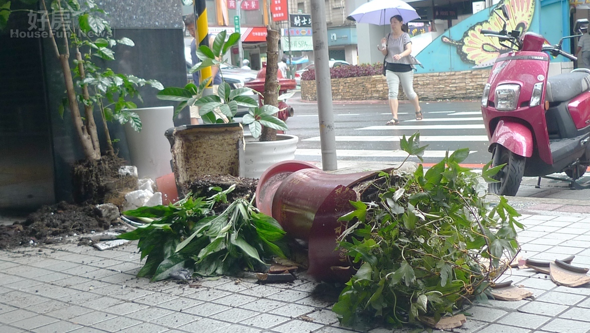 颱風 毀損 傾倒花盆（好房資料中心）
