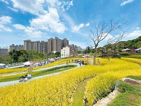 
桃市府跨局處組成「未來城市空間發展會報」，致力實踐有序發展、整合資源、預算分配及爭取補助4大目標，打造更宜居的桃園。（蔡依珍攝）
