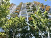 淨零排放浪潮襲來　台中建商打造垂直森林建築