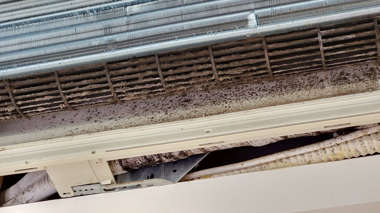 ▼日前日文老師王可樂分享一張冷氣內部照表示「我看過最噁心的照片」。（圖／<a href="https://www.facebook.com/wangcolaneko/" data-cke-saved-href="https://www.facebook.com/wangcolaneko/" target="_blank">王可樂日語</a>提供）