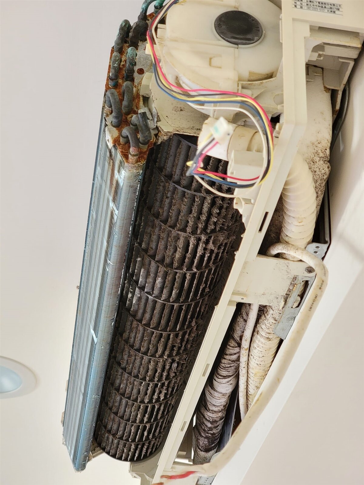 ▼師傅提醒，「一般建議1～2年一定要洗一次，否則冷氣會愈吹愈不冷，而且吹出來的冷氣會很髒，對呼吸道也很不好」。（圖／<a href="https://www.facebook.com/wangcolaneko/" data-cke-saved-href="https://www.facebook.com/wangcolaneko/" target="_blank">王可樂日語</a>提供）