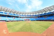 1.1億改善樂天桃園棒球場　明年新球季啟用